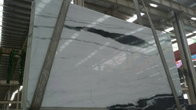 Panda White Marble,Beautiful Marble Slab, Top Quality Marble,White Marble,Marble Wall&Floor