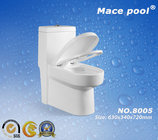 Ceramic One Piece Toilet Siphonic Flushing Toilet  (8005)