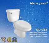 Sanitary Ware Ceramic Two Piece Toilets with Siphonic S-Trap (DL-055)