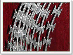 hot dipped galvanized concertina razor barbed wire( profession factory)