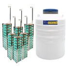 175L nitrogen canister cow sperm container