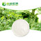 Best natural stevia sweetener powdered stevia leaf extract Rebaudioside supplier