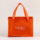 Non Woven Cooler Bag with Top Zip Closure/Custom logo printed cooler Milk Freshness Protection,super market premium bag