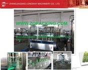 turn-key fully automatic carbonated beverage filling production line for Russia