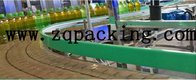 Filled Bottles Conveyor System