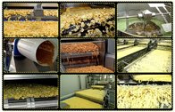How Does The Automatic Corn Tortilla Chips Continuous Fryer Work