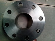 WN or SO GR2/GR12/SS Titanium Forging Flange for industrial use