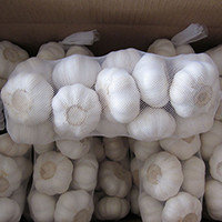 China The New Garlic Is About to Go on The Market supplier