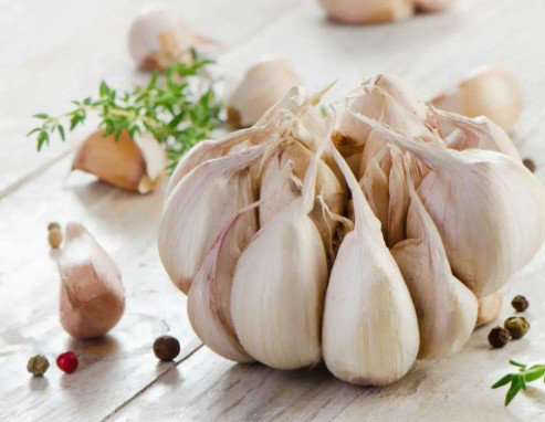 China Our Exports of Garlic to Brazil Increased by 50% supplier