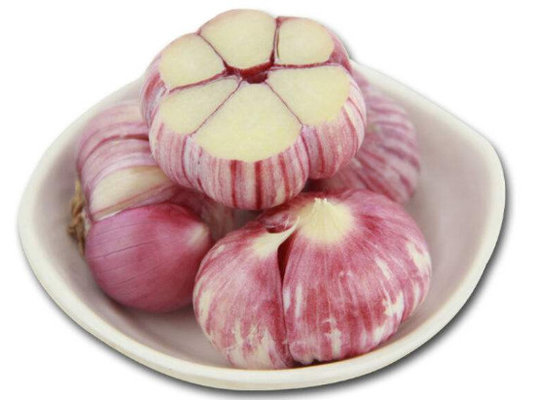 China October 19 2019 stock-China Garlic Price 2019 supplier