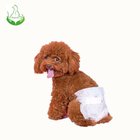 Factory wholesale amazing style Pant Type Diaper