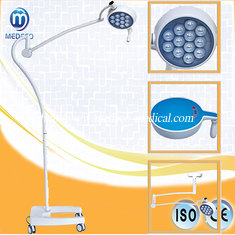 Hot Sale! Medical Cold LED Operation Light LED Examination Light Ecog053 Medical Light