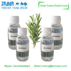 Vape Fruit Concentrate Rosemary Flavors by Xian Taima