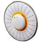 Bluetooth  Music and Phone Shower Head
