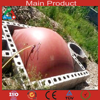 China Organic waste treatmen Application digester biogas supplier