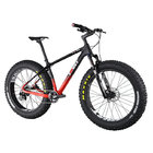 Mountain Bike Painting carbon complate fat bike with Maxxi tire 26*4.8 tire