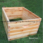 Auto Flow Frame for Honey Comb Langstroth Beehive