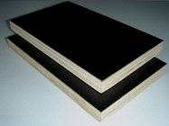 15mm used core face film faced plywoods sheet prices for Construction