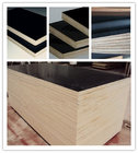 Hot Sale Plywood For Construction Materials Prices , China Hot Film Faced Plywoood Factory