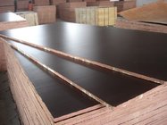 Good quality Film Faced Plywood/marine plywood/shuttering plywood at competitive price
