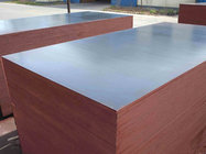 Cheap price construction playwood / Waterproof film faced plywood for construction plywood concrete formwork