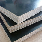 Wholesale construction laminated plywood film faced plywood prices with bottom price