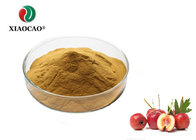Hawthorn Leaf Natural Botanical Extracts For Treating Coronary Heart Disease