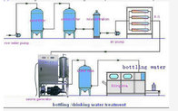10g oxygen source electrolytic water ozone generator for swimming pool sterilization