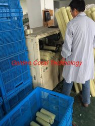Golden Coral Technology Ltd.