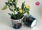 12oz Eco Friendly Paper Water Bucket By Flexo Print For Flower / Plant supplier