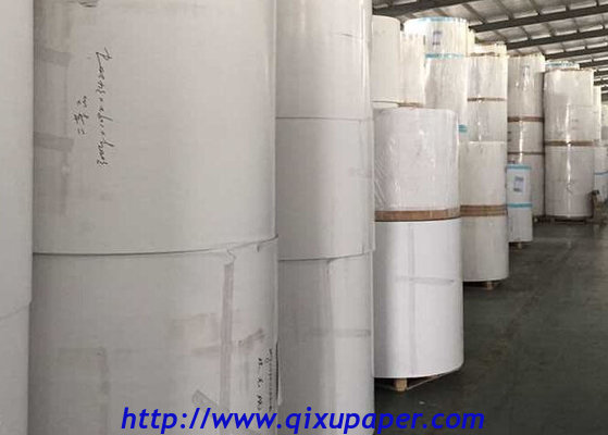 Coated Duplex board Grey White/back Sheets Reels Woodfree Paper manufacturer Suppler