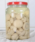 Canned Champignon Mushroom Pite trading