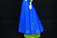 Blue Snow Color Disney Frozen Figurines Cartoon Shampoo Bottle ANNA ELSA Princess Container supplier