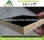 Cheap Plywood,Linyi Plywood,Black Film Faced Plywood,Construction Plywood,Formwork Plywood