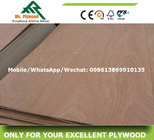 Cheap Plywood,Linyi Plywood,Bintangor Plywood,Commercial Plywood