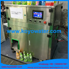 doypack bag with cap/doypack filling machine/standing pouch with straw/straw bag filling capping machine