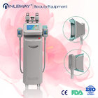 CE FDA approval fat freeze slimming portable cryolipolysis machine with 2 cryo handles