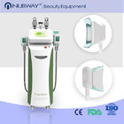 10.4 inch touch color screenCryolipolysis Fat Freeze Slimming Machine Radio Frequency