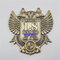 Crown metal badges made to order, painted metal medallions, custom badges, hollow crown gold badge supplier