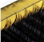 Prime Silk Lash Beautiful Channel Eyelash Extension