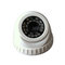 CCTV 24pcs IR LEDs Indoor Dome Night Vision Security Camera CCTV AHD Camera 1.3MP supplier