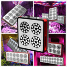 600W Greenhouse Cidly LED Light 6 band Color Modudle Design LED Grow Light 18 CE Rohs