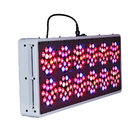 Cidly 400w hydroponic grow full spectrum for medical plants led grow panel light