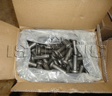 Producer of M19*100, M19*120 SD Shear Studs with CE for pre-engineered steel building
