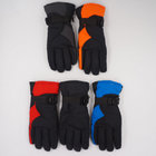 2017 Stock Factory Nylon Taslon Racing Printing Sport Ski Gloves