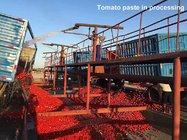 high quality tomato paste in drum steel  with 100% fresh tomato and non-GMO 36-38% Brix Cold break Good Color