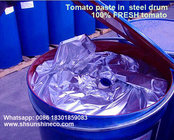 tomato paste in drum steel 28-30% hot break