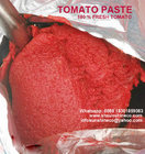 28-30% cold break tomato paste in bulk package from Xinjiang China