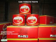 Chinese Canned Tomato paste/Tomato paste in tin can/Tomato jam/tomato ketchup/tomato sauce