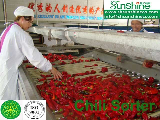 Chili Paste Machine/Chili Sauce Mahince/Chili Processing/Chili Factory/Chili Paste processing